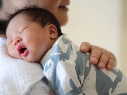 关于包生男孩中介机构